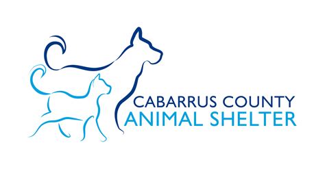 cabarrus animal shelter|cabarrus county pet adoption.